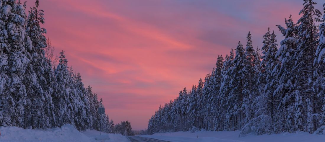Snow-lined forest road under a pink Nordic sky